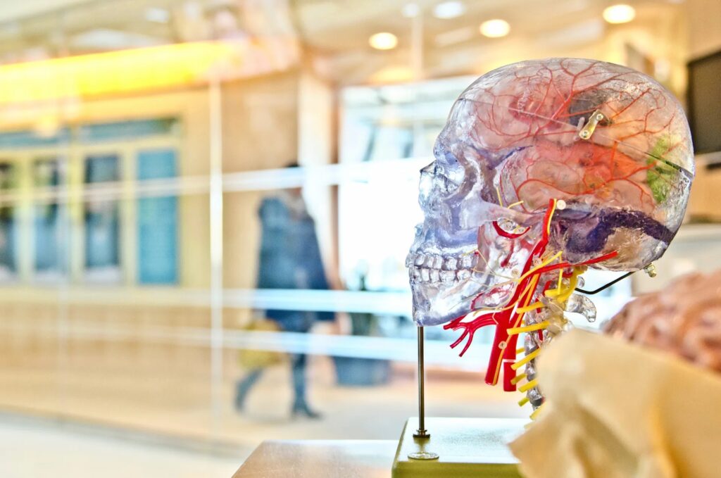 Afbeelding bij het oorspronkelijke artikel in het NRC december 2017